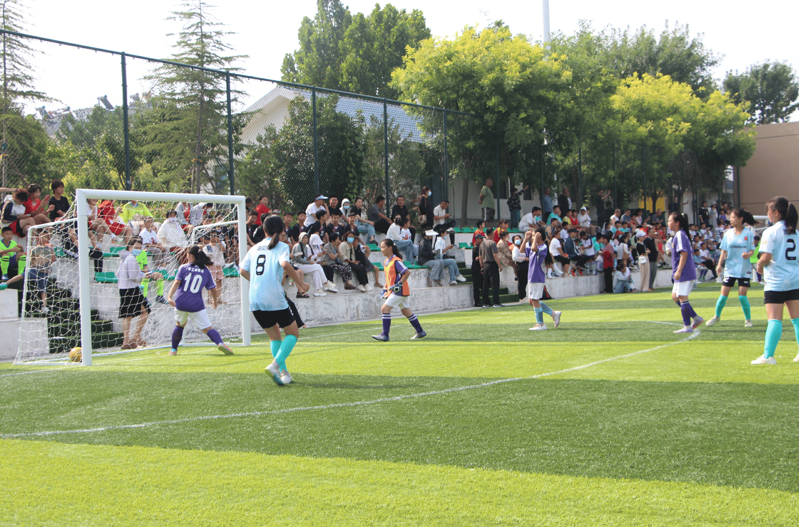 职业足球赛场上精彩纷呈 职业足球赛场上精彩纷呈